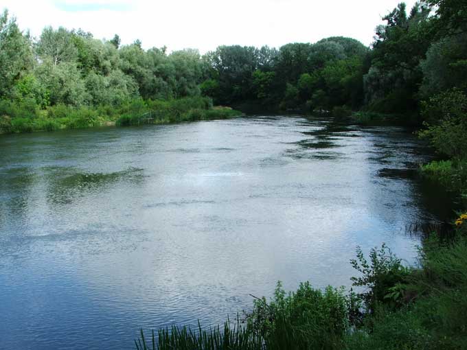 В Святогорске почистят реку