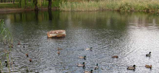 В Краматорске хотят очистить озеро в парке