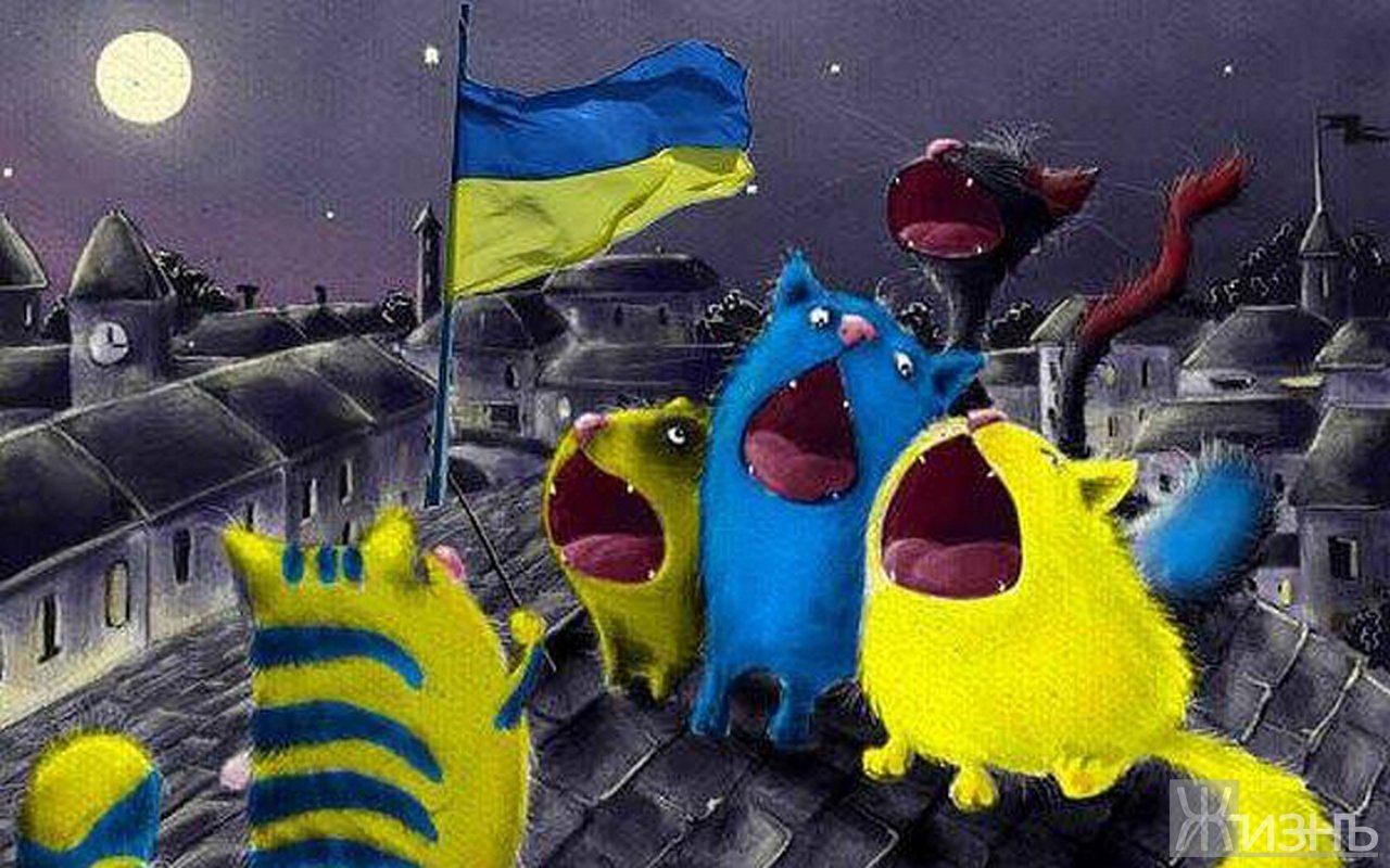 Кот украинец. Кот с украинским флагом. Желто голубой кот. Сине жёлтый котик. Щеня вмерла Украина.