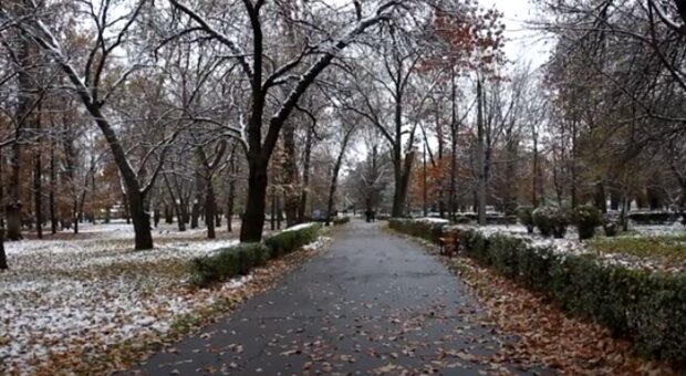 Ранний снег и два "бабьих лета": народный синоптик рассказал, какой погоды ждать в Украине осенью