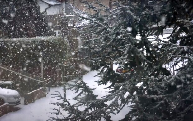 Заметет всю Украину: синоптики назвали дату сильных снегопадов