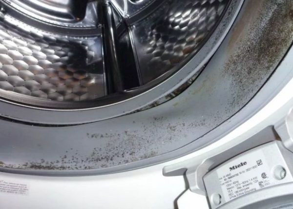 Что делать, если появился запах в стиральной машине?