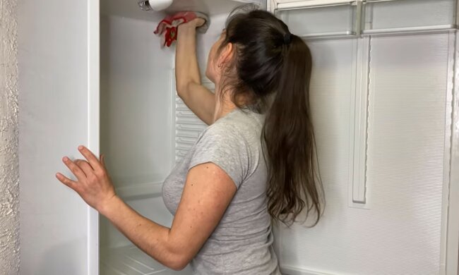 Будет работать исправно и долго прослужит: как правильно разморозить холодильник