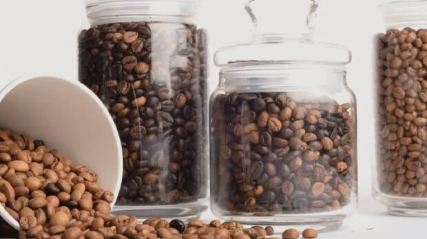 От этого зависит вкус и аромат напитка: как выбрать качественные кофейные зерна