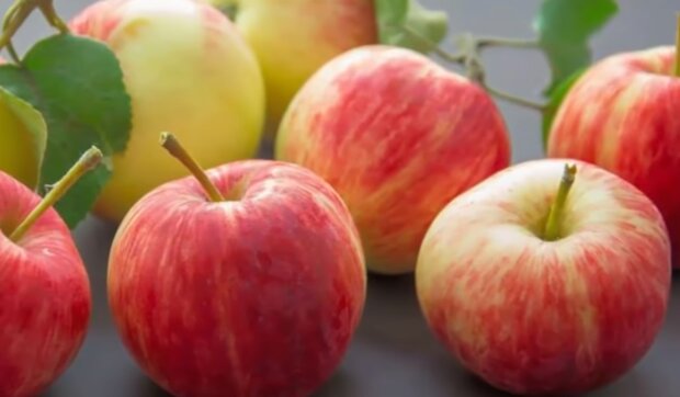 Делайте это с умом: как правильно потреблять яблоки в зимний сезон